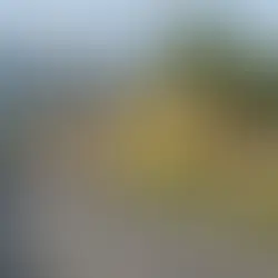 Tronditëse: Gjendet i pajetë në stallë, dyshohet vr*sje nga afër