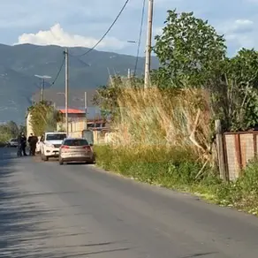 Tronditëse: Gjendet i pajetë në stallë, dyshohet vr*sje nga afër