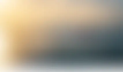 Miliarderët braktisin Dubain, fluturimet private trefishojnë çmimet