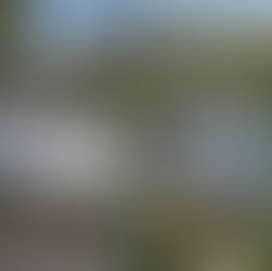 The French Lyceum of Korçë is opening a new chapter in Albanian education