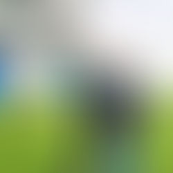 EKSLUZIVE /Largimi i trajnerit të Devollit konfirmohet, dorëheqja është zyrtare