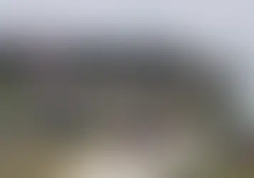 15-year-old student shoots teacher at a school, then takes his own life