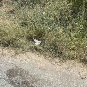 “U grindëm”, hodhi gruan nga makina në lëvizje, flet 30-vjeçari: Isha shumë i nervozuar, u përplasa për shkak të..