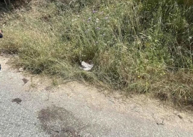 “U grindëm”, hodhi gruan nga makina në lëvizje, flet 30-vjeçari: Isha shumë i nervozuar, u përplasa për shkak të..