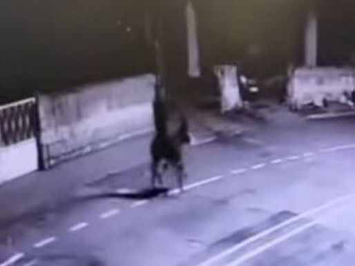 Young man robs jewelry store in Turkey, escapes on a donkey! Arrested after several hours
