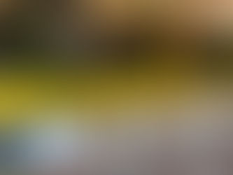 Arrestohet në flagrancë 57-vjeçari që kontrabandoi mallra nga Greqia – Sekuestrohen cigare, pije alkoolike dhe celularë