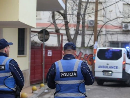 Arrestime për dhunë në familje, vjedhje dhe kalim të paligjshëm të kufijve