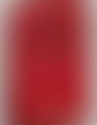 Historia e panjohur e shtypit shqiptar në SHBA