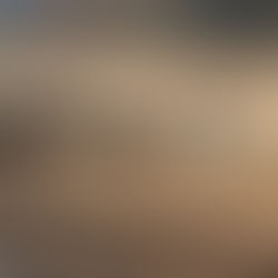 Nga premtimi te bllokimi total: çfarë ndodhi me rrugën provizore?