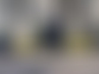 SPAC seeks his arrest, Balluku resists, attends the SP Assembly meeting