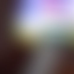 Vetëm 10 licenca/ Si do të përzgjidhen kompanitë e basteve online