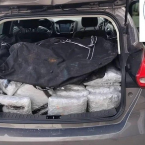 Kapen 60 kg lëndë narkotike në kufirin greko-shqiptar, një i arrestuar