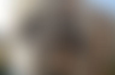 Dy pallate shkatërrohen nga shpërthimi, vdesin tre persona