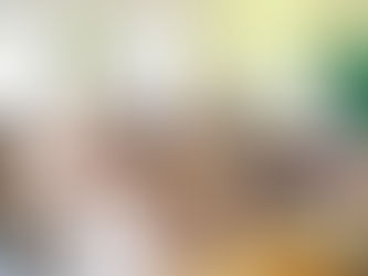 Guidance programs for the qualification of pre-university system teachers have been published