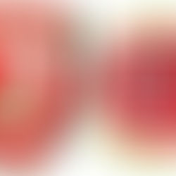 SKËNDERBEU të shtunën vetëm për 3 pikë ndaj Apolonisë. Ndeshjet e kësaj jave priten me interes. Ja kur luhen…