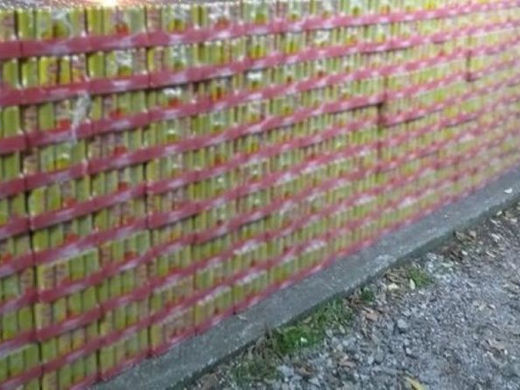 A driver has been arrested and two customs officers are under investigation for transporting contraband goods