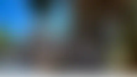 SKANDAL/ Çifti kapet duke kryer marrëdhënie intime në një xhami, dëshmia e rojës: Mendova se...