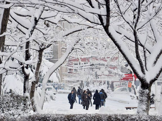 Pas shiut vjen acari, meteorologia shpjegon çfarë ndodh me motin gjatë javës tjetër