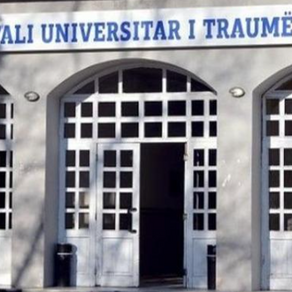 Pl*gosja në kokë e të miturit, ndërron jetë 17-vjeçari