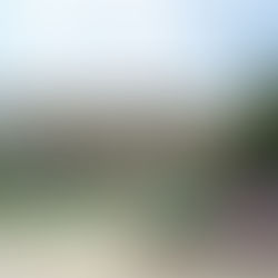 Eshtra njerëzore gjenden në një kosh mbeturinash pranë spitalit 