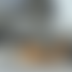 Problemi i qenve endacakë rikthehet me forcë, fëmijë 8-vjeçar i sulmuar në shëtitore