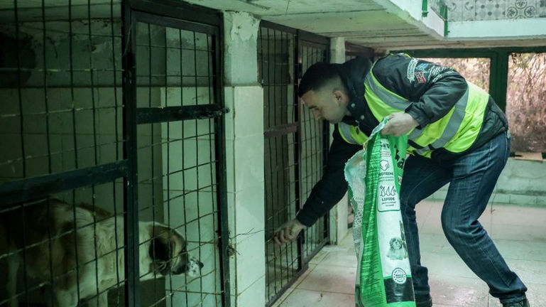 Korçë Municipality puts the new center for the treatment and accommodation of stray dogs into operation