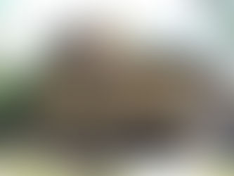 The Church of the Resurrection, a fascinating example of Byzantine architecture