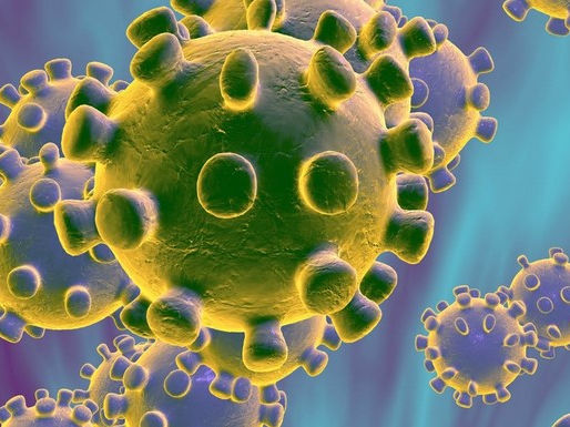 STUDY / Why do some viruses never leave the body?