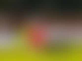 Last three away matches of 2025 in 8 days / Here’s when Skënderbeu plays against Laçi, Iliria, and Kukësi