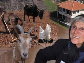 Shahe Leka, 91, shares the secret to her longevity: working in the village, eating organic foods, and she says she expects to live to 120