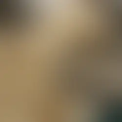 Qeni qëllohet në mënyrë makabre me disa plumba, autorët ende të paidentifikuar