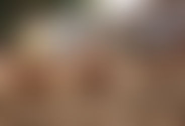 Alarm në Europë nga Gripi i shpendëve, mijëra pula do të...