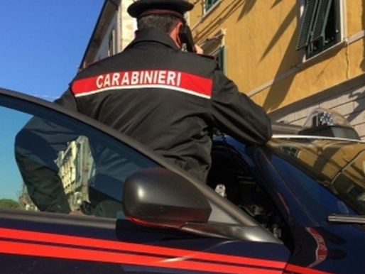 A 21-year-old Albanian caught with 28 doses of cocaine and suspected cash