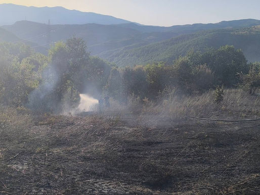 Lokalizohet dhe shuhet me sukses zjarri në fshatin Plovisht