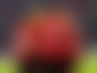 Ka fituar titullin me Skënderbeun, lojtari i Kombëtares nderohet në Premier League