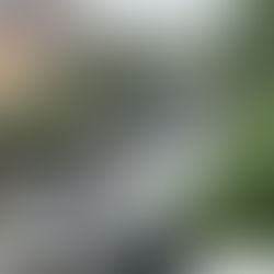 Misteri: Çfarë ndodhi në apartamentin ku u vr*në tre persona