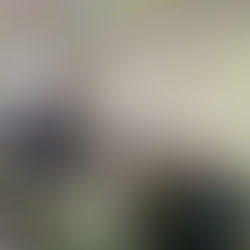 Takime informuese dhe sensibilizuese në shkolla Mborje dhe Pogradec!