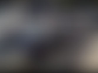 Queues and waiting at Kapshticë, caused by the new control system on the Greek side