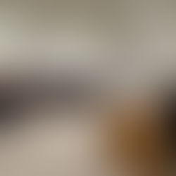 Drejtoresha e DRAP Korçë, znj. Vinjola Rota, takim të rëndësishëm pune me Drejtoreshën e ZVAP Berat, znj. Garuli