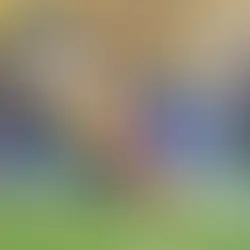 Gjermania mbyll grupin me humbje, Ekuadori dhe Bregu i Fildishtë sigurojnë kualifikimin