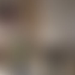 MARTOHET ME “BURRIN” VIRTUAL/ Japonezja ceremoni martese me një partner të krijuar nga inteligjenca artificiale