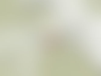 Tërmet shkatërrues në Afganistan, 500 të vdekur dhe mbi 1 mijë të plagosur!