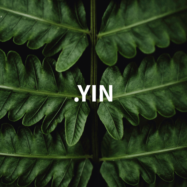 YIN.gif