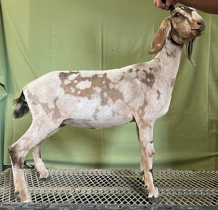 348906778_786629929630405_56487253132452