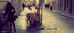 IMG_6472.CR21.jpg