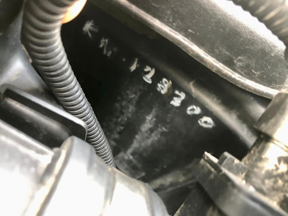 Miniatura: Fiat 500L 1.6 Multijet 105 CV Lounge bicolore-2015