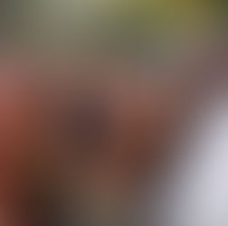 Remedy for the Misclassified People of North America!