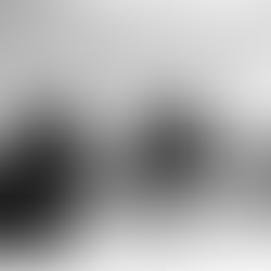 🔥Bought and Buried: How the Urban League Traded Indigenous Identity for Federal Dollars