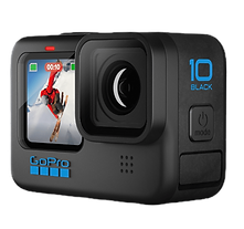 Gopro hire Animal Ocean