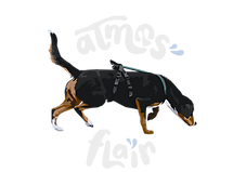 LOGO CERCLE_edited.png